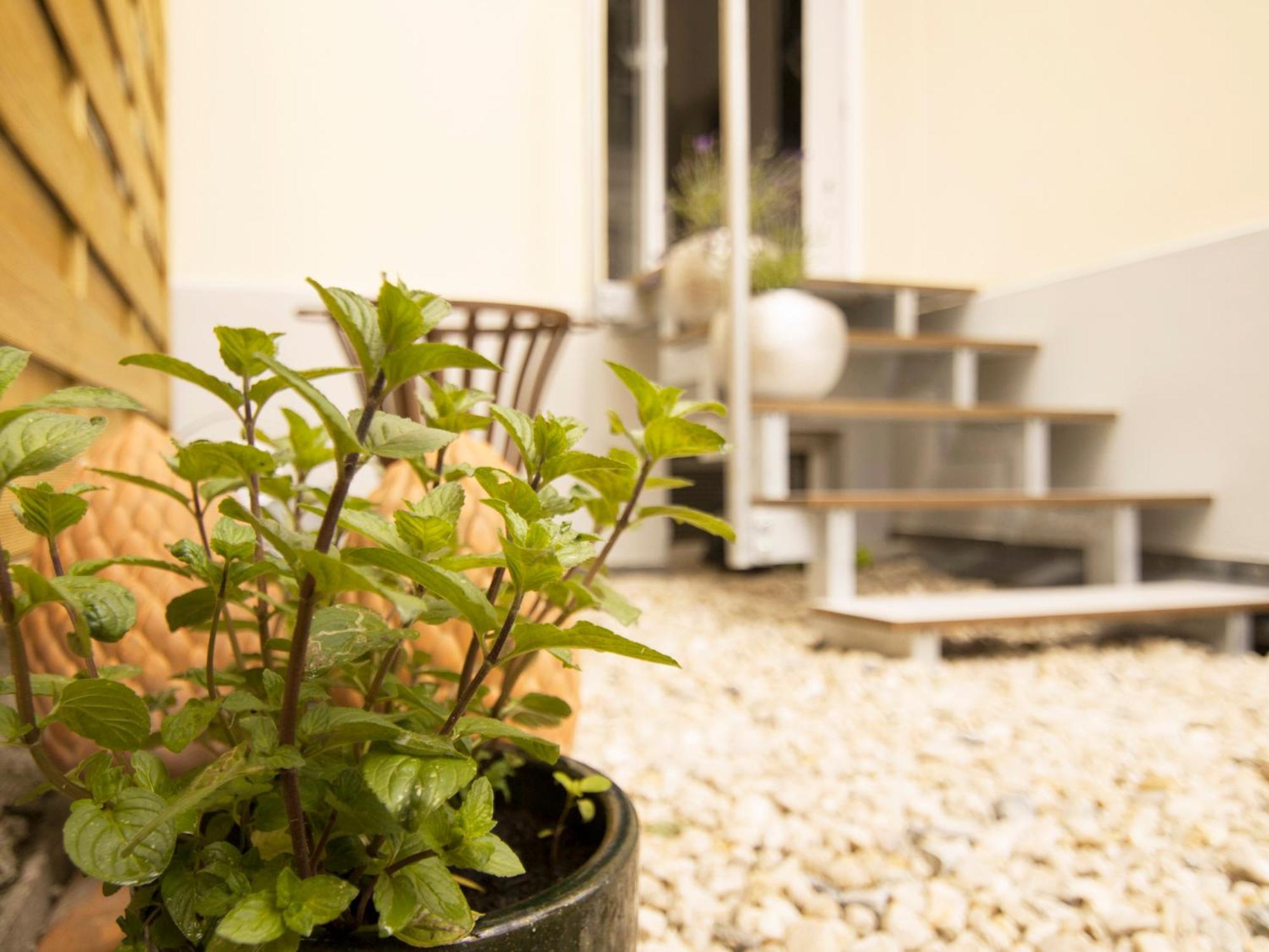Bauhaus Design-Luxus Apartment, 20Er Jahre Stil, Garten غيرا المظهر الخارجي الصورة